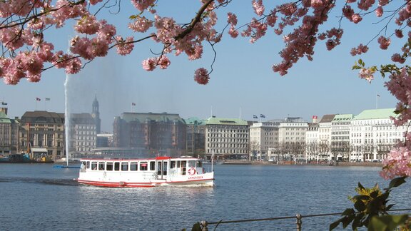Alster boats